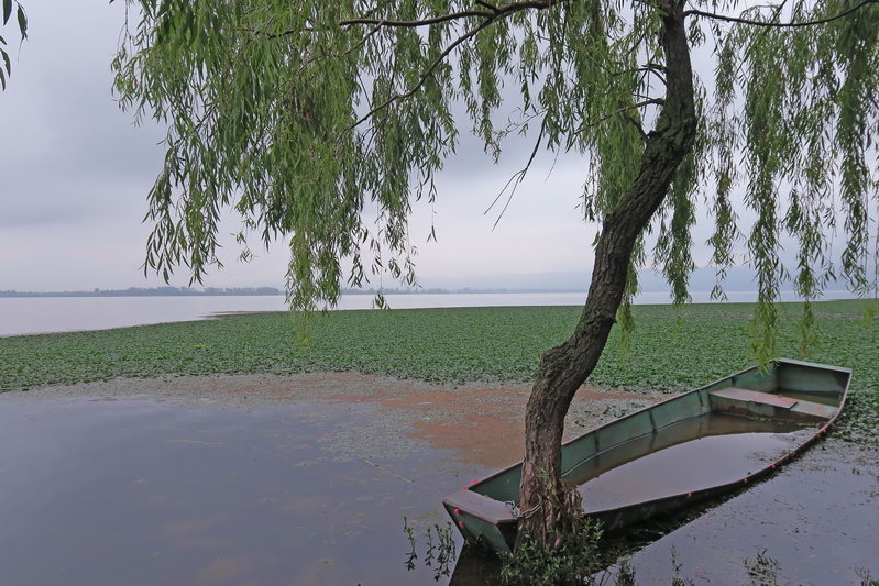 邛海湖是中国第几大淡水湖,四川省第二大淡水湖是不是邛海