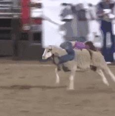 在南京上班的本科生租房有补贴吗,南京应届专科生租房补贴