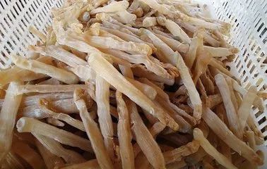 鍖楁捣绔ラ瀷,鍖楁捣甯傜殑绔ラ瀷