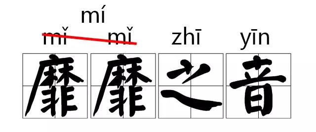 主持人常读错的字纠正,主持人读错字