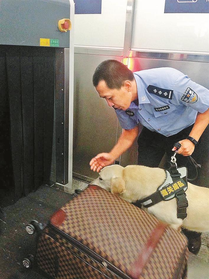 大瓶“新型料理油”竟是止咳水，香港*私走**到内地*市黑**价格翻4倍