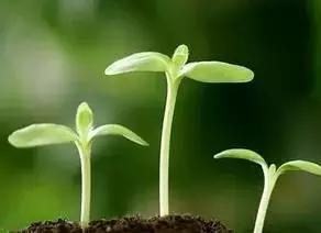 生活需要热情的作文,心态阳光英文短句