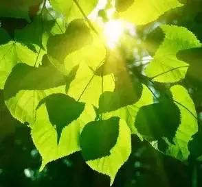 生活需要热情的作文,心态阳光英文短句