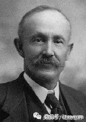 方舟无齿翼龙驯服教程,无齿翼龙有翅膀吗