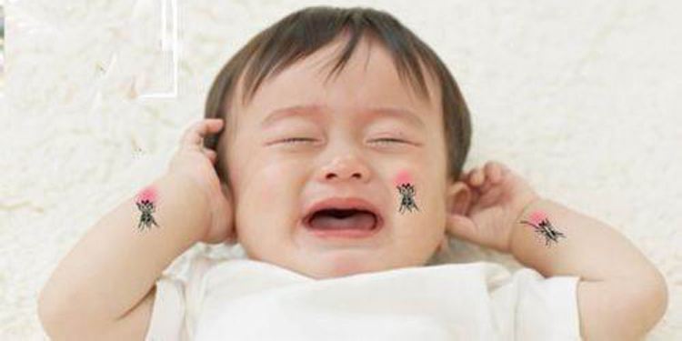 美容师活该被咬,宠物店活该被咬