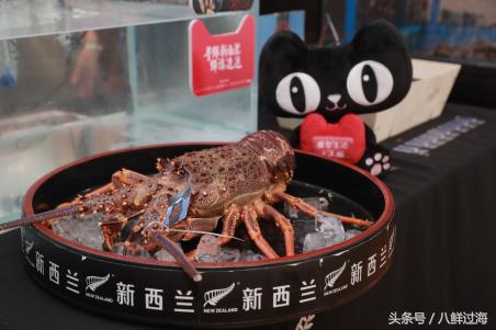 易果与天猫,易果生鲜天猫旗舰店