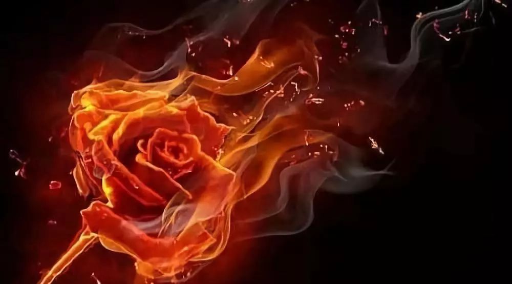 数字能量学1-9号人性格分析,数字性格1-9怎么测试