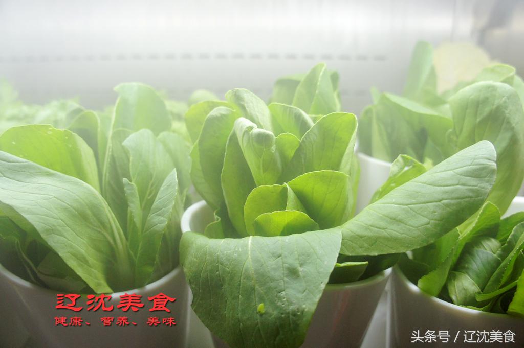 这家缝纫机串串香改变了沈阳酒吧的世界，撸串听歌相当巴适