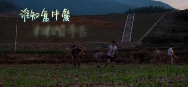 何炅穿2千元衣服插秧,何炅穿连体衣服