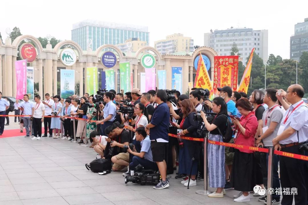 福鼎白茶进京“赶考”，好评如潮，香飘“一带一路”