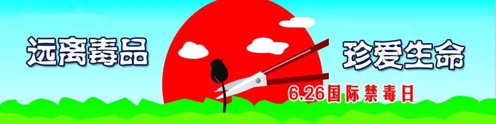 6.26国际禁毒日由来,6.26国际禁毒日禁毒知识