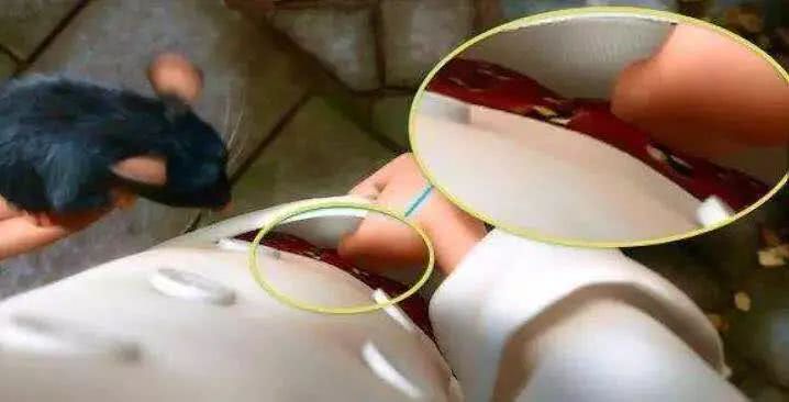 看这8分新片一定一定要睁大眼(好多细节)