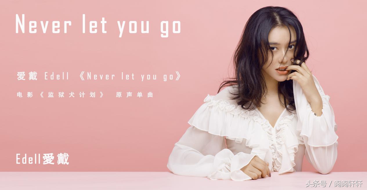 爱戴单曲《NeverLetYouGo》为流浪犬发声助力《监狱犬计划》