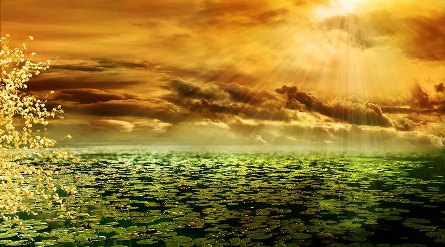 一半伤感一半喜悦,一半悲伤一半欢喜