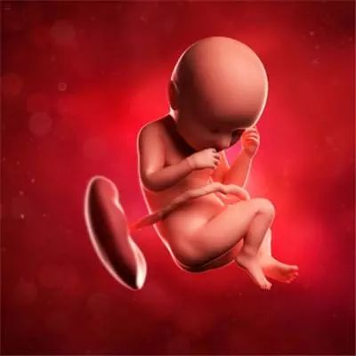 妇科炎症用药怀孕了怎么办,妇科怀孕问题