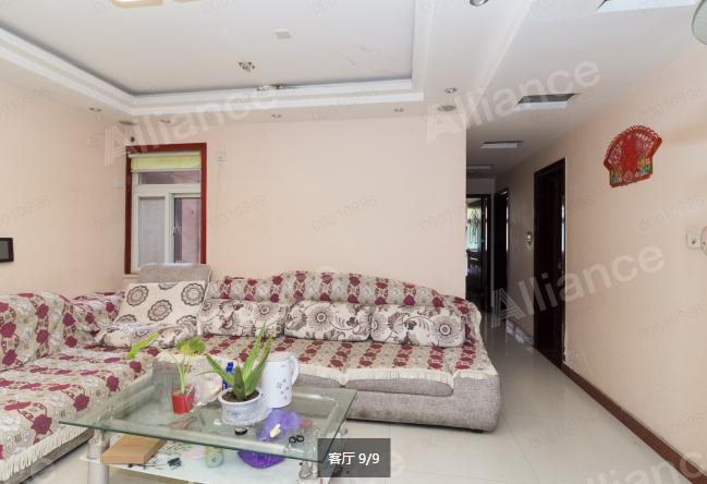 中鼎花园3居室,中鼎花园房源