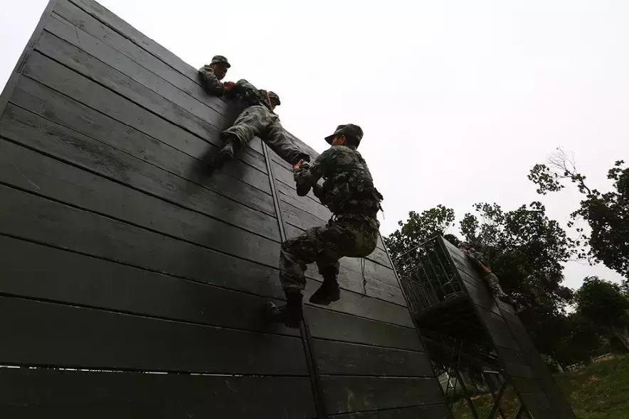 常规部队和特种部队实力对比,顶尖的特种部队都有哪些