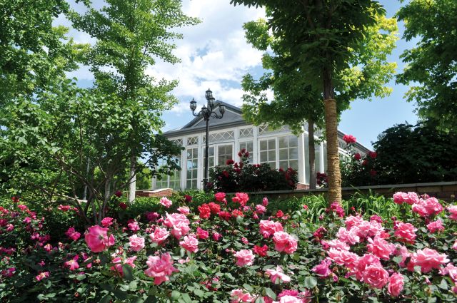 找个地方看世界杯,选个好地儿