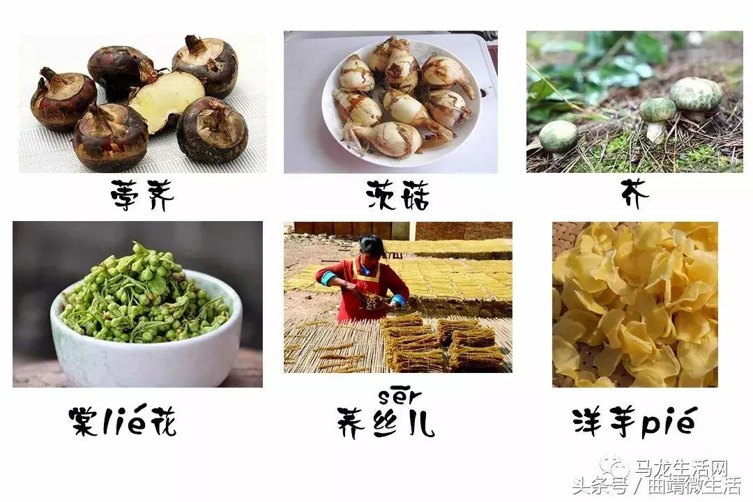 一句话,证明你是马龙人!