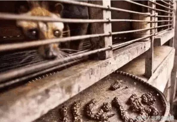 鍗板凹瀵兼父涓浗娓稿,鍗板凹瀵兼父