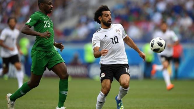 菜鸡互啄图片大全集,菜鸡互啄花絮