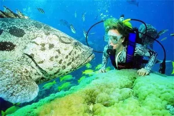 海南免税什么东西最值得购买,去海南可以买多少钱免税的东西