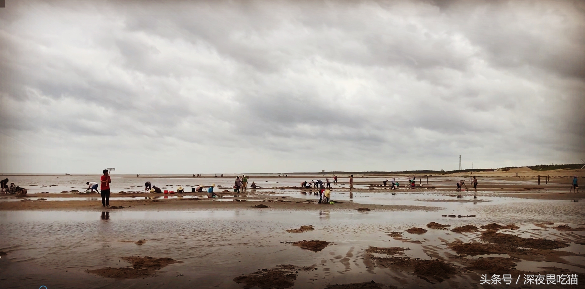 西施舌好吃吗,西施舌美食