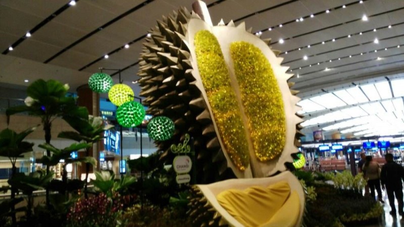 机场免税店买啥最便宜,剁手之旅三亚免税店攻略女神必备