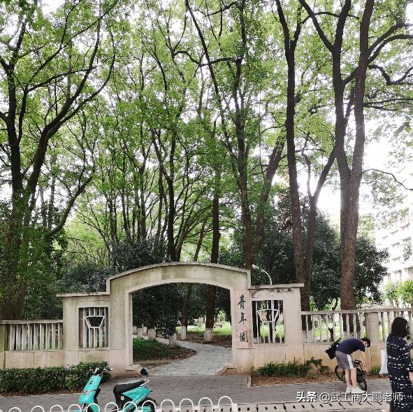 华中科技大学合并历史,华中科技大学合并前的重点学科