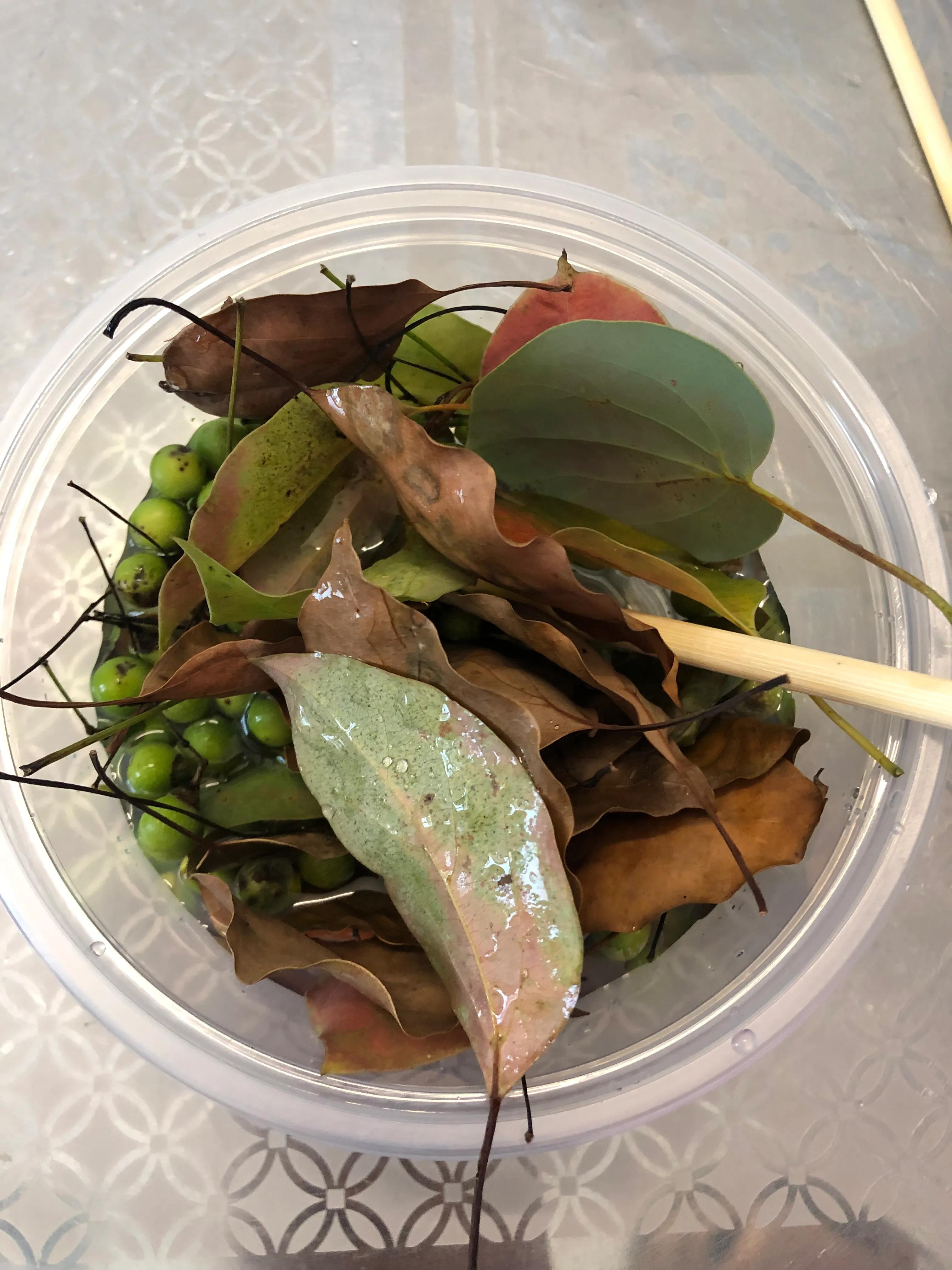 自然类宝宝玩具,自然生活中的玩具