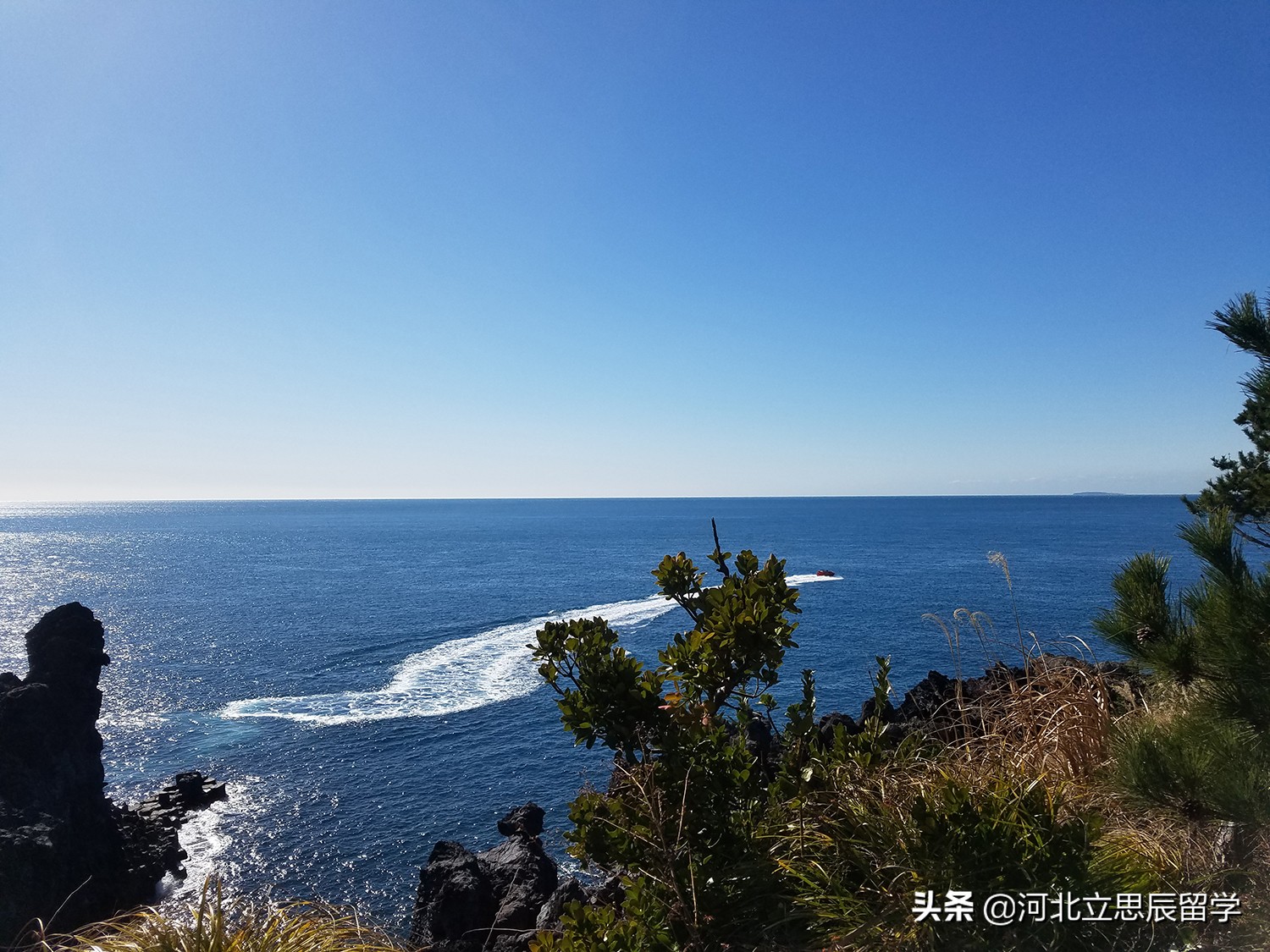 谁说只有出国留学才要考雅思托福,谁说留学很简单