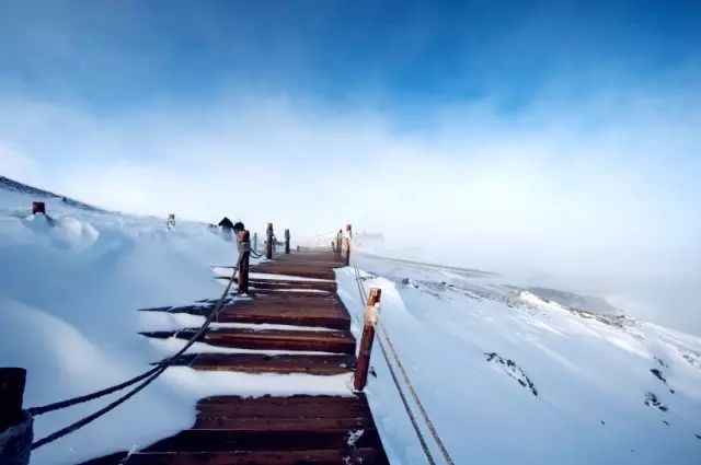 长白山冬天去是不是更美,长白山的冬天美得让人窒息
