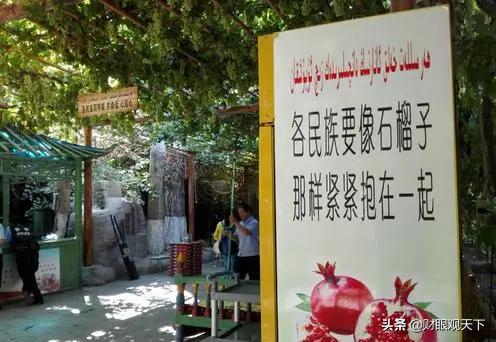 不能错过当地水果,不能错过美味的水果