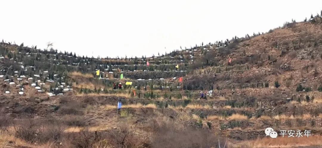 【永年公安】节日“警”相随,十里春风,最美“警”色在这里!