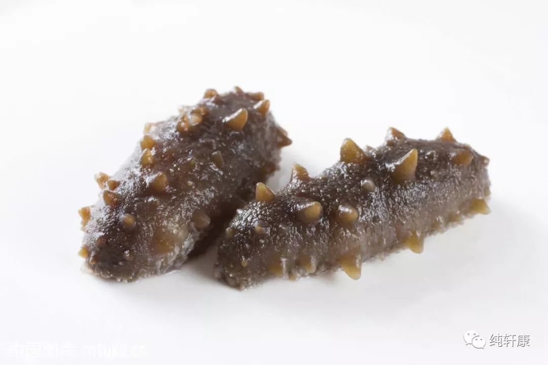 看完这篇文章，你就不嫌海参贵了！