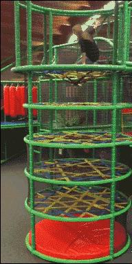 当了一天摄影师,我却中暑流鼻血,真是不服老不行啊