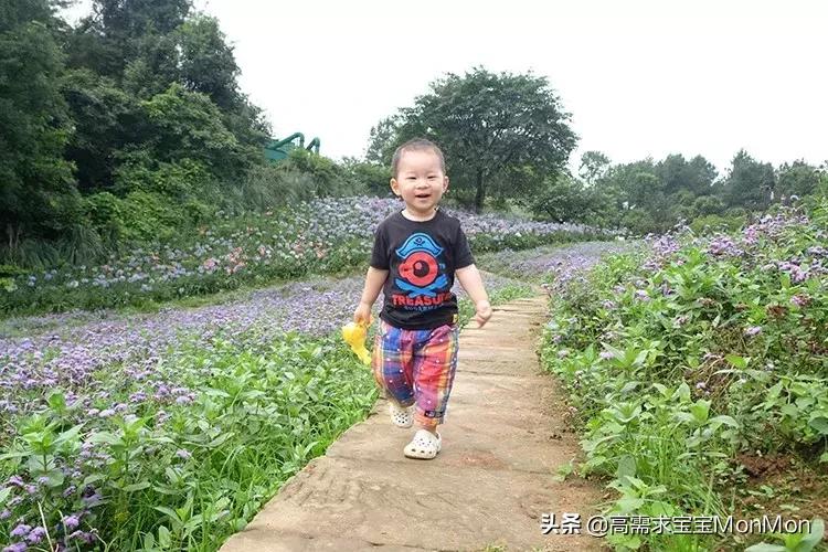 周末去哪儿儿童乐园,儿童去哪儿旅行