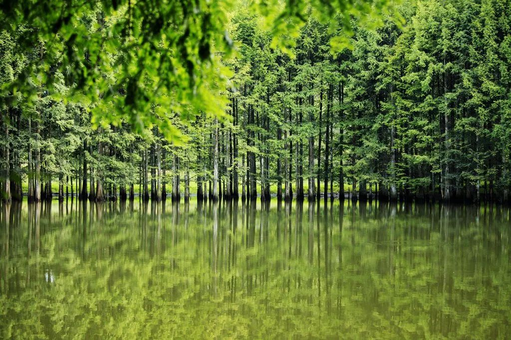 汉中龙池湖攻略,汉中龙池湖简介