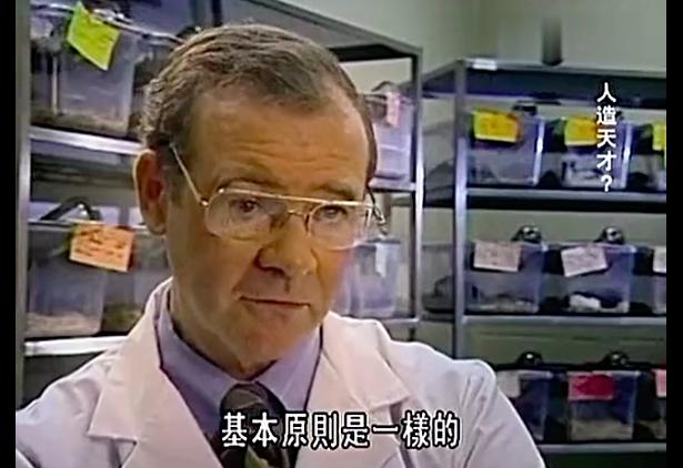 科学家用三组老鼠做实验,发现了让大脑变聪明的秘密……父母必读