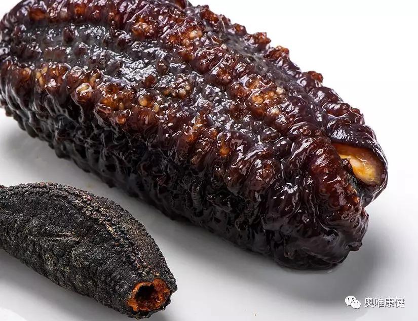 关于海参的食物,关于海参那些你不知道的事