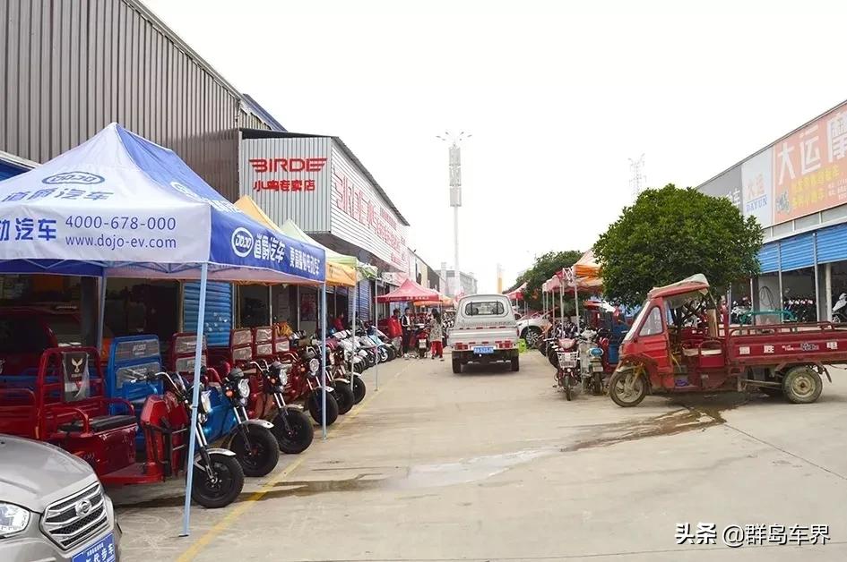 金彭海宝宗申哪个好,宗申金彭小鸟