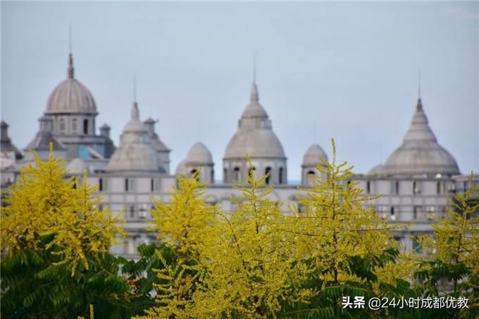 不用吆喝，学校办的好，家长最有发言权！孩子最有体验感！