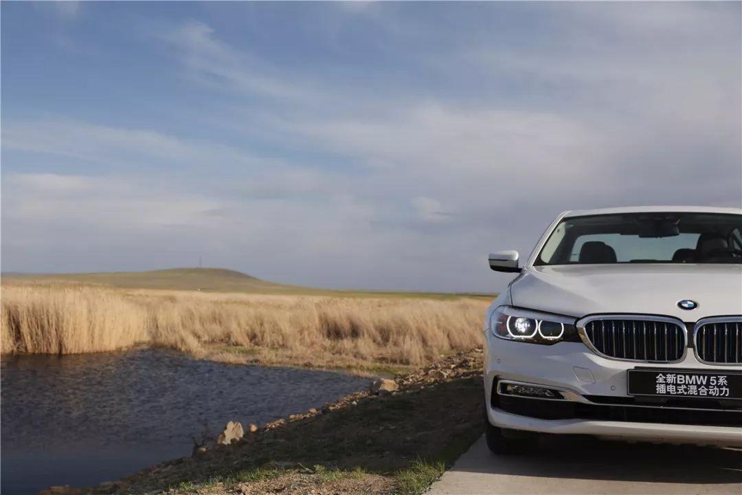 所罗门王的指环完整版,所罗门王的指环全文