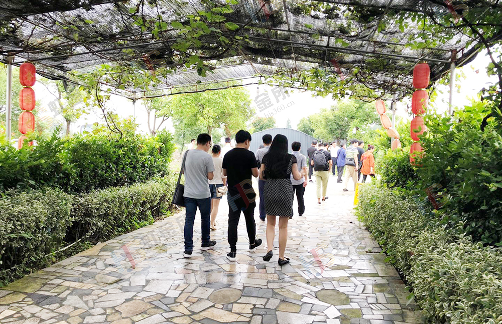 虹金所网贷服务有限公司,虹金所最新消息