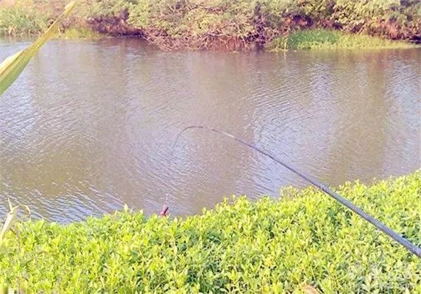 抛竿钓大鱼线多长合适,钓大鱼抛竿最好用的线组