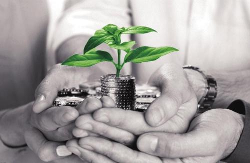 京东众筹刘强东,刘强东是如何创建和发展京东的