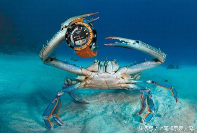 手表走时越来越不稳定?手表佩戴及误差了解一下!