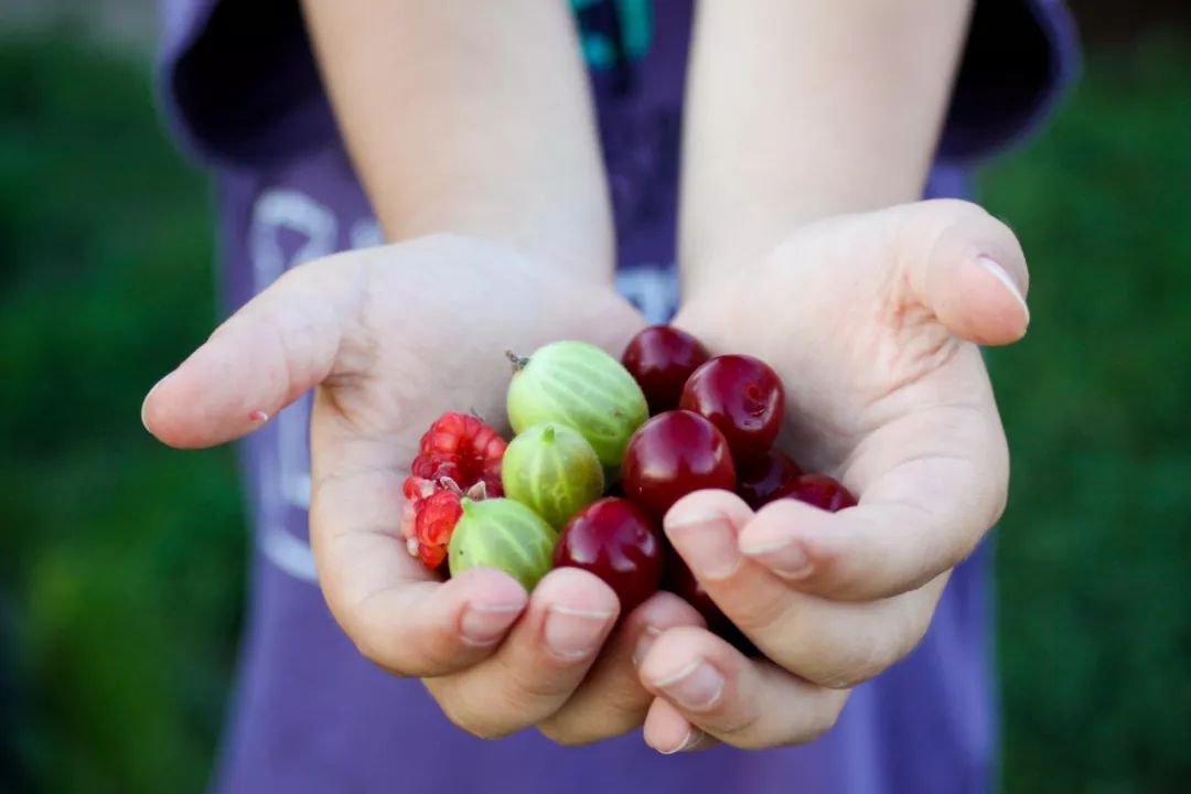 俄罗斯美味,俄罗斯美味特产