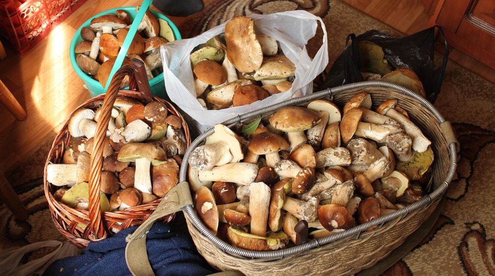 俄罗斯美味,俄罗斯美味特产