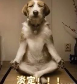 林允眼膜,林允同款眼膜功效